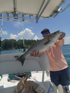 he best striper catches come from Lake Lanier.